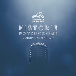 Artwork for Historie potłuczone