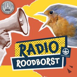 Artwork for Radio Roodborst