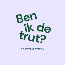 Artwork for Ben ik de trut?