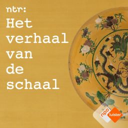 Artwork for Het Verhaal van de Schaal