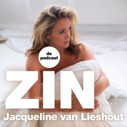 Artwork for ZIN