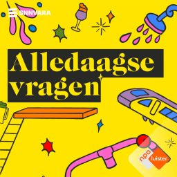 Artwork for Alledaagse Vragen