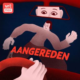 Artwork for Aangereden