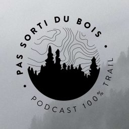 Artwork for Pas sorti du bois