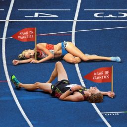 Artwork for Naar de Vaantjes