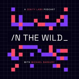 Artwork for In the Wild with Michael Bargury