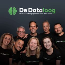 Artwork for De Dataloog