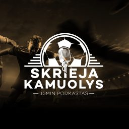 Artwork for Skrieja kamuolys