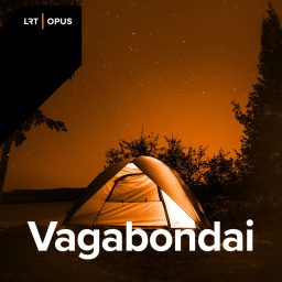 Artwork for Vagabondai