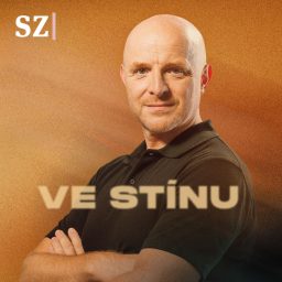 Artwork for Ve stínu