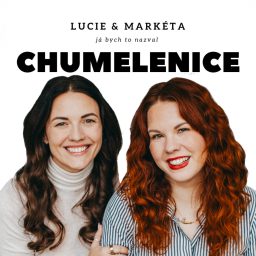 Artwork for Chumelenice