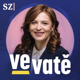 Artwork for Ve vatě