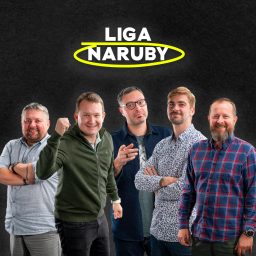 Artwork for Liga naruby