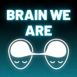 Artwork for Brain We Are CZ