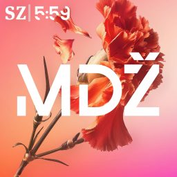 Artwork for MDŽ