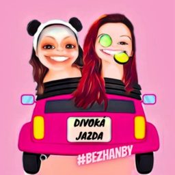 Artwork for Divoká jazda #bezhanby