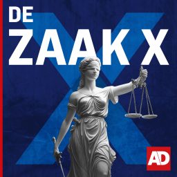 Artwork for De Zaak X