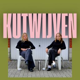 Artwork for Kutwijven