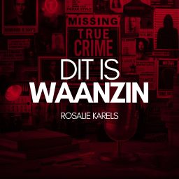 Artwork for Dit is Waanzin