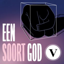 Artwork for Een soort god