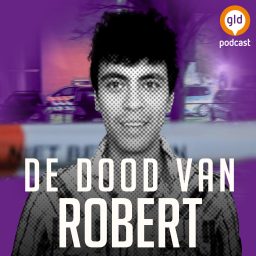 Artwork for De dood van Robert