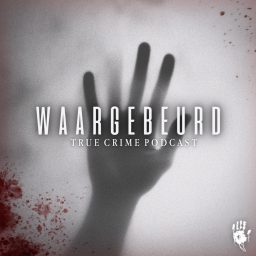 Artwork for Waargebeurd