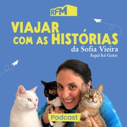 Artwork for RFM - Aqui há gato