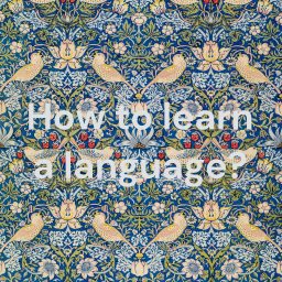 Artwork for How to learn a language?
