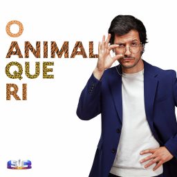 Artwork for O Animal Que Ri