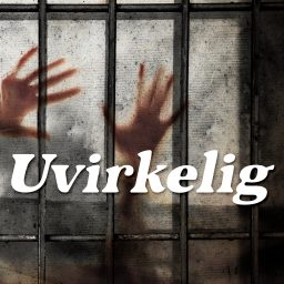 Artwork for Uvirkelig