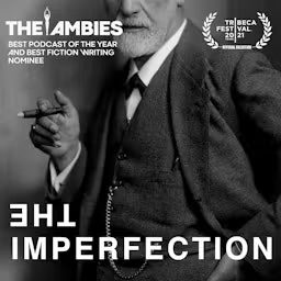 Artwork for The Imperfection