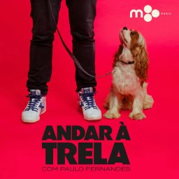 Artwork for Andar à Trela