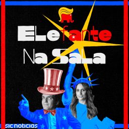 Artwork for Elefante na Sala