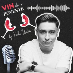 Artwork for Vin de-o poveste