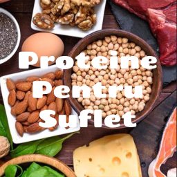 Artwork for Proteine Pentru Suflet