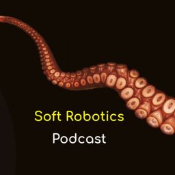 Artwork for Soft Robotics Podcast