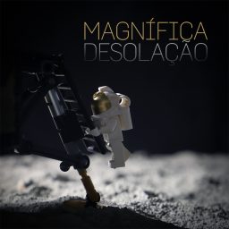 Artwork for Magnífica desolação