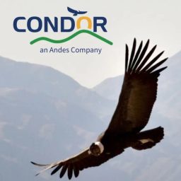 Artwork for Condor Currents