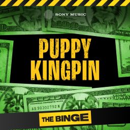 Artwork for Puppy Kingpin