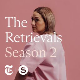 Artwork for The Retrievals