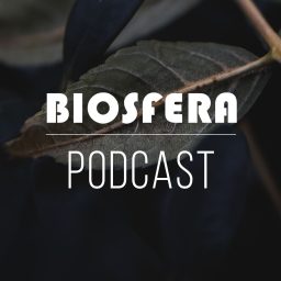 Artwork for Podcast Biosfera Farol de Ideias / RTP2