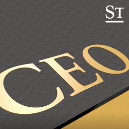 Artwork for CEO