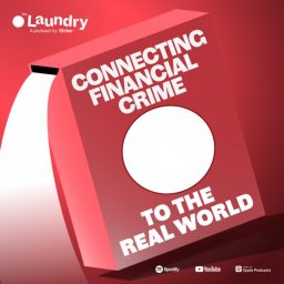 Artwork for The Laundry