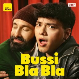 Artwork for Bussi Bla Bla