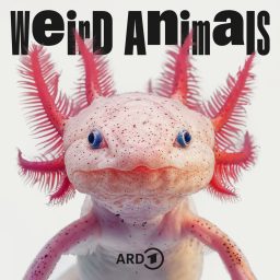 Artwork for Weird Animals