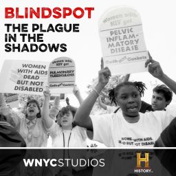 Artwork for Blindspot