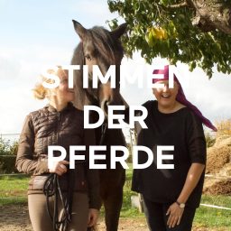 Artwork for STIMMEN DER PFERDE