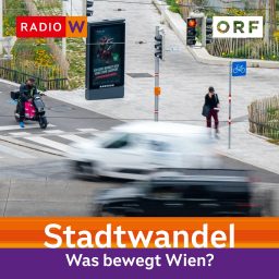 Artwork for Stadtwandel