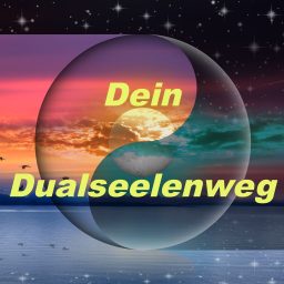 Artwork for Dein Dualseelenweg
