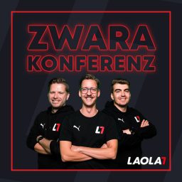 Artwork for Zwarakonferenz